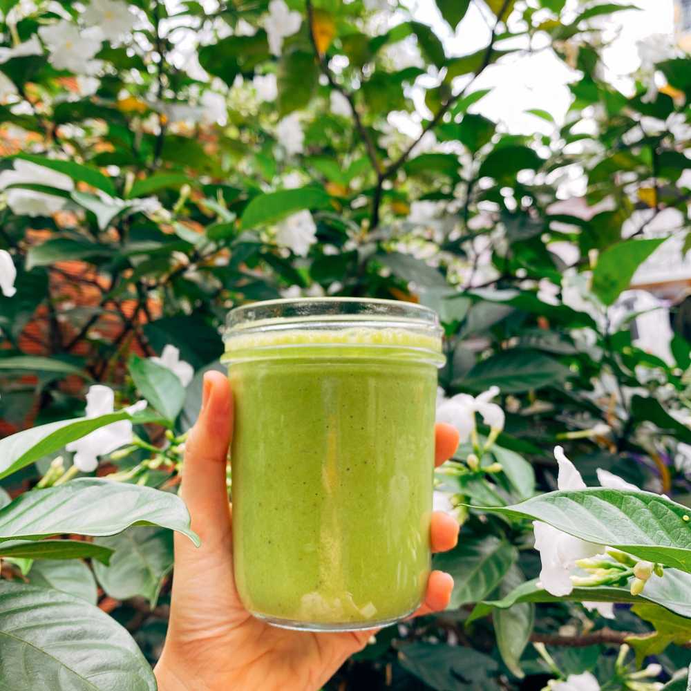 Mango Smoothie