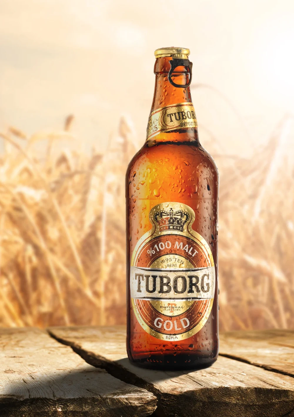 TUBORG ŞİŞE 50 CL