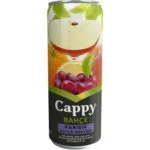 CAPPY KARIŞIK 330 ML